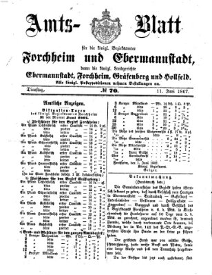 Amtsblatt für die Königlichen Bezirksämter Forchheim und Ebermannstadt sowie für die Königliche Stadt Forchheim Dienstag 11. Juni 1867