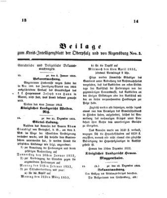 Königlich bayerisches Intelligenzblatt für die Oberpfalz und von Regensburg Mittwoch 12. Januar 1853