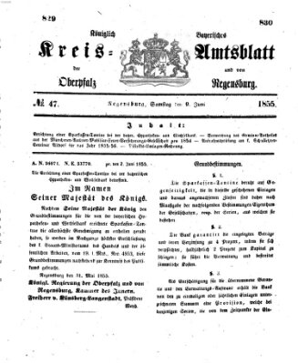 Königlich-bayerisches Kreis-Amtsblatt der Oberpfalz und von Regensburg (Königlich bayerisches Intelligenzblatt für die Oberpfalz und von Regensburg) Samstag 9. Juni 1855