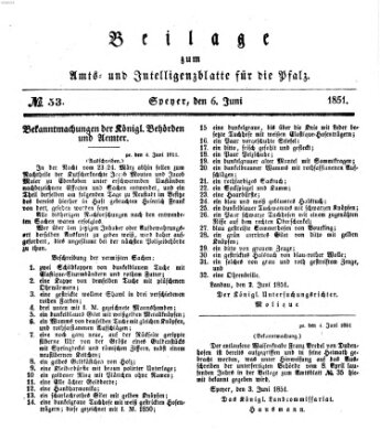 Königlich bayerisches Amts- und Intelligenzblatt für die Pfalz Freitag 6. Juni 1851