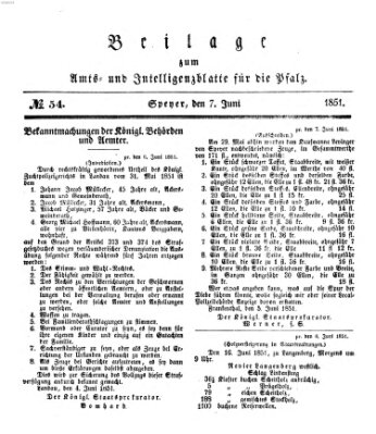 Königlich bayerisches Amts- und Intelligenzblatt für die Pfalz Samstag 7. Juni 1851