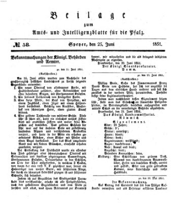 Königlich bayerisches Amts- und Intelligenzblatt für die Pfalz Mittwoch 25. Juni 1851