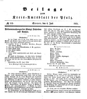 Königlich-bayerisches Kreis-Amtsblatt der Pfalz (Königlich bayerisches Amts- und Intelligenzblatt für die Pfalz) Dienstag 4. Juli 1854