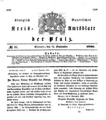 Königlich-bayerisches Kreis-Amtsblatt der Pfalz (Königlich bayerisches Amts- und Intelligenzblatt für die Pfalz) Dienstag 16. September 1856