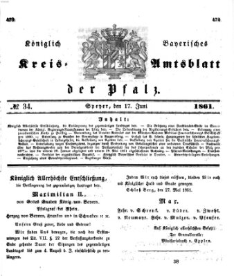 Königlich-bayerisches Kreis-Amtsblatt der Pfalz (Königlich bayerisches Amts- und Intelligenzblatt für die Pfalz) Montag 17. Juni 1861