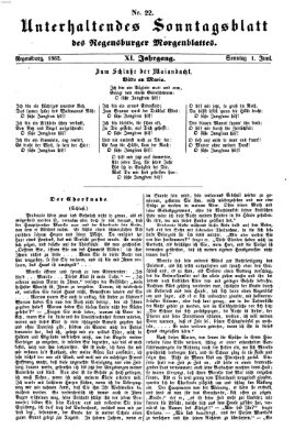 Regensburger Morgenblatt Sonntag 1. Juni 1862