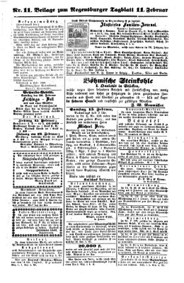 Regensburger Tagblatt Dienstag 11. Februar 1862