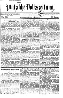 Pfälzische Volkszeitung Freitag 7. Juni 1867