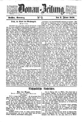 Donau-Zeitung Sonntag 3. Januar 1858
