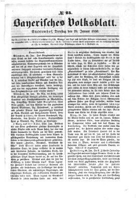 Bayerisches Volksblatt (Regensburger Morgenblatt) Dienstag 29. Januar 1850