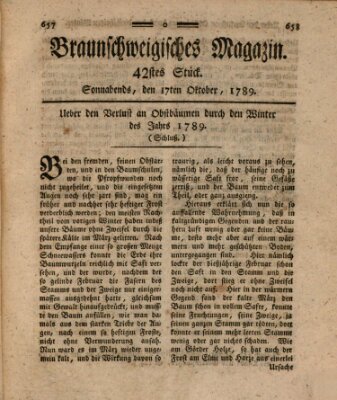Braunschweigisches Magazin (Braunschweigische Anzeigen) Samstag 17. Oktober 1789