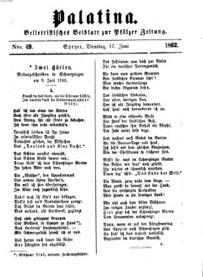 Palatina (Pfälzer Zeitung) Dienstag 17. Juni 1862