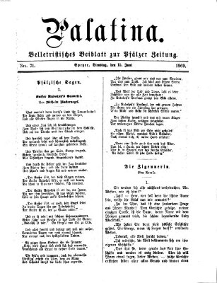 Palatina (Pfälzer Zeitung) Dienstag 15. Juni 1869
