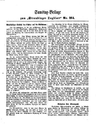 Straubinger Tagblatt Sonntag 10. November 1867
