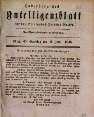 Paderbornsches Intelligenzblatt Samstag 6. Juni 1846