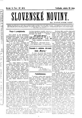 Slovenské noviny Samstag 28. Juni 1873