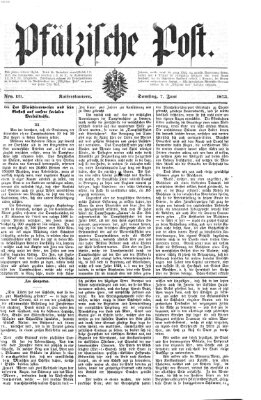 Pfälzische Post Samstag 7. Juni 1873