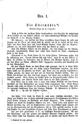 Oberpfälzische Blätter für Sonn- und Feiertags-Unterhaltung (Amberger Volks-Zeitung für Stadt und Land) Sonntag 5. Januar 1873
