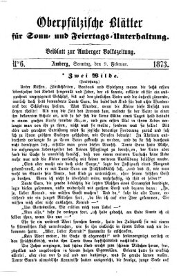 Oberpfälzische Blätter für Sonn- und Feiertags-Unterhaltung (Amberger Volks-Zeitung für Stadt und Land) Sonntag 9. Februar 1873