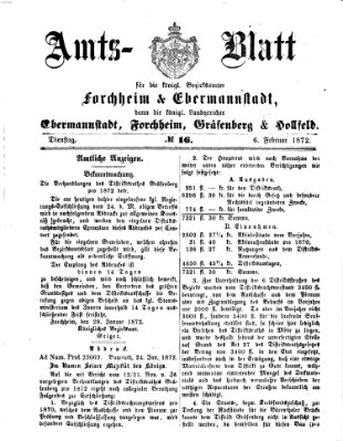 Amtsblatt für die Königlichen Bezirksämter Forchheim und Ebermannstadt sowie für die Königliche Stadt Forchheim Dienstag 6. Februar 1872
