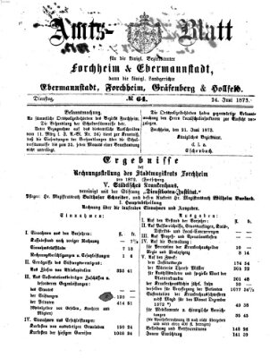 Amtsblatt für die Königlichen Bezirksämter Forchheim und Ebermannstadt sowie für die Königliche Stadt Forchheim Dienstag 24. Juni 1873