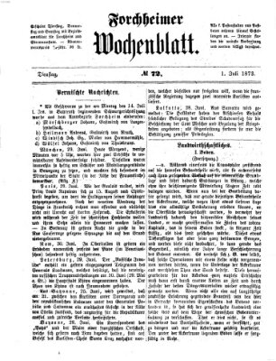 Amtsblatt für die Königlichen Bezirksämter Forchheim und Ebermannstadt sowie für die Königliche Stadt Forchheim Dienstag 1. Juli 1873