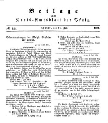 Königlich-bayerisches Kreis-Amtsblatt der Pfalz (Königlich bayerisches Amts- und Intelligenzblatt für die Pfalz) Dienstag 11. Juli 1871