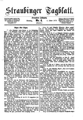 Straubinger Tagblatt Sonntag 5. Januar 1873
