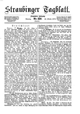 Straubinger Tagblatt Sonntag 26. Oktober 1873