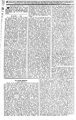 Fränkischer Kurier Samstag 28. Juni 1873