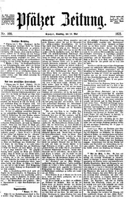 Pfälzer Zeitung Samstag 10. Mai 1873