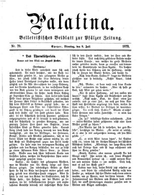 Palatina (Pfälzer Zeitung) Dienstag 8. Juli 1873