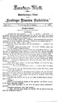 Bamberger neueste Nachrichten Sonntag 9. Februar 1873