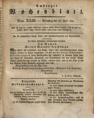 Amberger Wochenblatt (Oberpfälzisches Wochenblat) Dienstag 7. Juni 1825