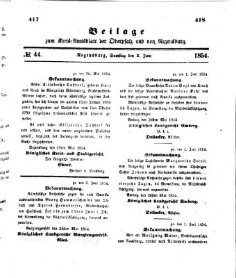 Königlich-bayerisches Kreis-Amtsblatt der Oberpfalz und von Regensburg (Königlich bayerisches Intelligenzblatt für die Oberpfalz und von Regensburg) Samstag 3. Juni 1854