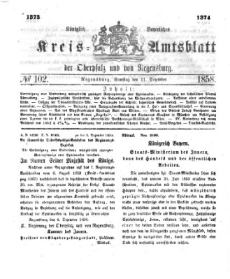 Königlich-bayerisches Kreis-Amtsblatt der Oberpfalz und von Regensburg (Königlich bayerisches Intelligenzblatt für die Oberpfalz und von Regensburg) Samstag 11. Dezember 1858