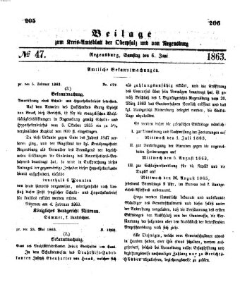 Königlich-bayerisches Kreis-Amtsblatt der Oberpfalz und von Regensburg (Königlich bayerisches Intelligenzblatt für die Oberpfalz und von Regensburg) Samstag 6. Juni 1863