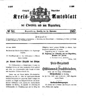 Königlich-bayerisches Kreis-Amtsblatt der Oberpfalz und von Regensburg (Königlich bayerisches Intelligenzblatt für die Oberpfalz und von Regensburg) Samstag 14. September 1867