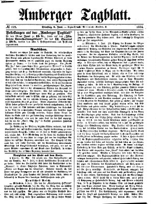 Amberger Tagblatt Dienstag 2. Juni 1874