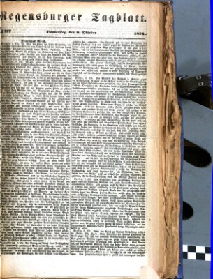 Regensburger Tagblatt Donnerstag 8. Oktober 1874