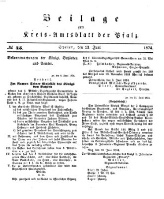 Königlich-bayerisches Kreis-Amtsblatt der Pfalz (Königlich bayerisches Amts- und Intelligenzblatt für die Pfalz) Samstag 13. Juni 1874