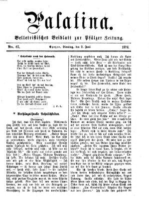 Palatina (Pfälzer Zeitung) Dienstag 2. Juni 1874