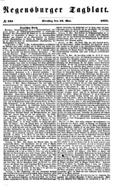 Regensburger Tagblatt Dienstag 18. Mai 1875