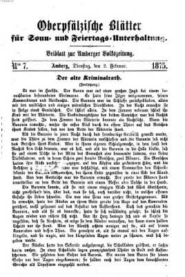 Oberpfälzische Blätter für Sonn- und Feiertags-Unterhaltung (Amberger Volks-Zeitung für Stadt und Land) Dienstag 2. Februar 1875