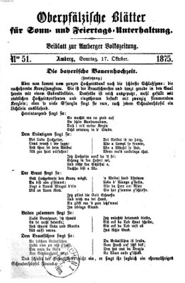 Oberpfälzische Blätter für Sonn- und Feiertags-Unterhaltung (Amberger Volks-Zeitung für Stadt und Land) Sonntag 17. Oktober 1875