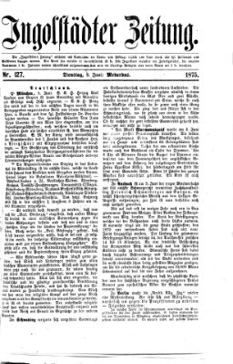 Ingolstädter Zeitung (Neue Ingolstädter Zeitung) Dienstag 8. Juni 1875
