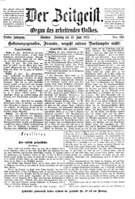 Der Zeitgeist Sonntag 13. Juni 1875