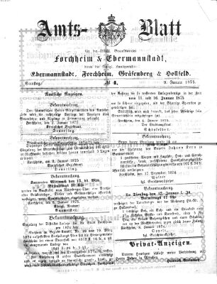 Amtsblatt für die Königlichen Bezirksämter Forchheim und Ebermannstadt sowie für die Königliche Stadt Forchheim Samstag 9. Januar 1875