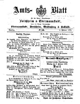 Amtsblatt für die Königlichen Bezirksämter Forchheim und Ebermannstadt sowie für die Königliche Stadt Forchheim Samstag 6. Februar 1875