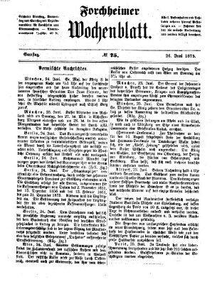 Amtsblatt für die Königlichen Bezirksämter Forchheim und Ebermannstadt sowie für die Königliche Stadt Forchheim Samstag 26. Juni 1875